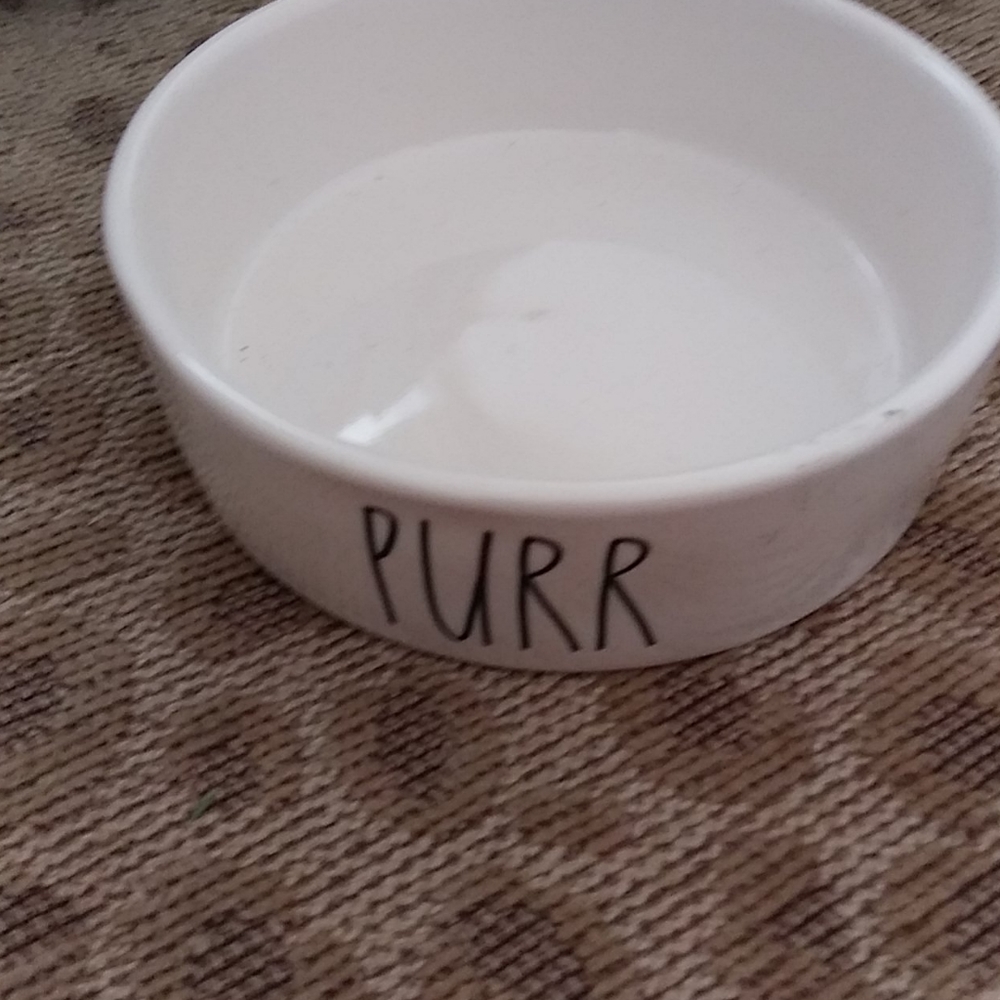 Rae Dunn cat dish
